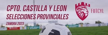 Cpto. Castilla y León de Selecciones Provinciales